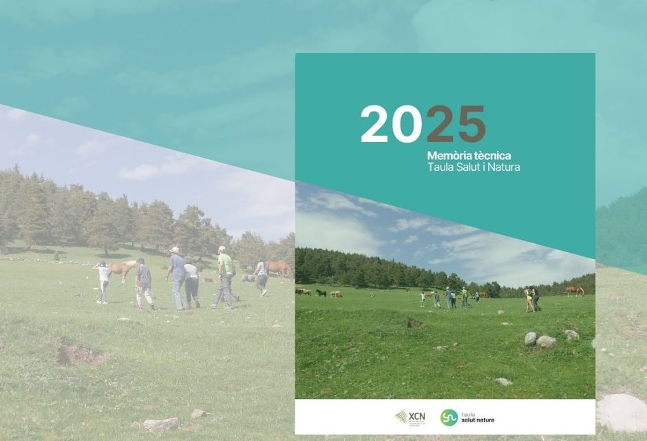 2025 memoria TSIN noticia