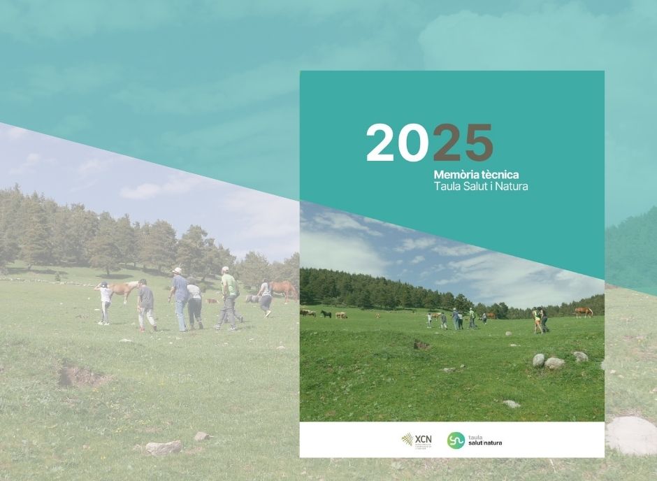 2025 memoria TSIN noticia