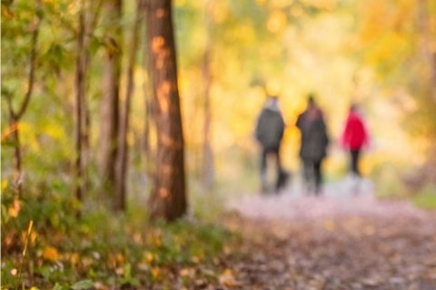 Foto Cartell Jornada Girona maig 26_ Ecosistemes que cuiden comunitat, natura i benestar a les comarques gironines (A2 (horitzontal))