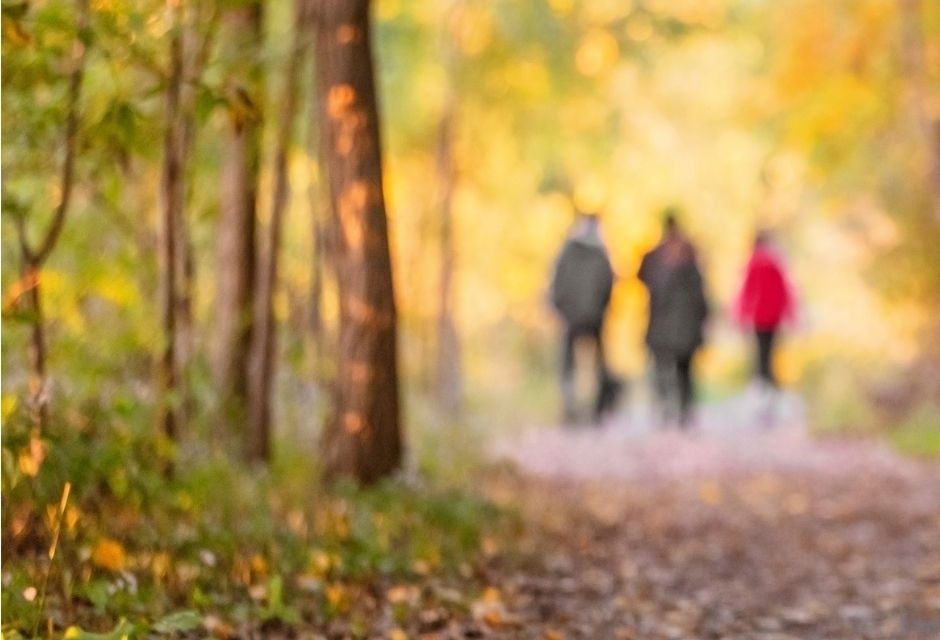 Foto Cartell Jornada Girona maig 26_ Ecosistemes que cuiden comunitat, natura i benestar a les comarques gironines (A2 (horitzontal))