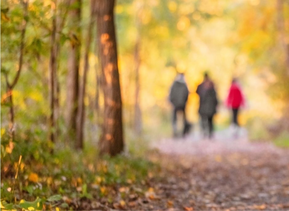 Foto Cartell Jornada Girona maig 26_ Ecosistemes que cuiden comunitat, natura i benestar a les comarques gironines (A2 (horitzontal))