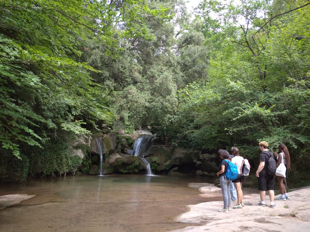 Osonament Naturalment