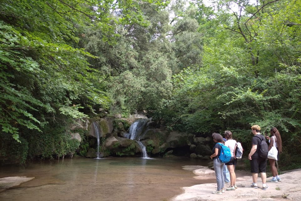 Osonament Naturalment